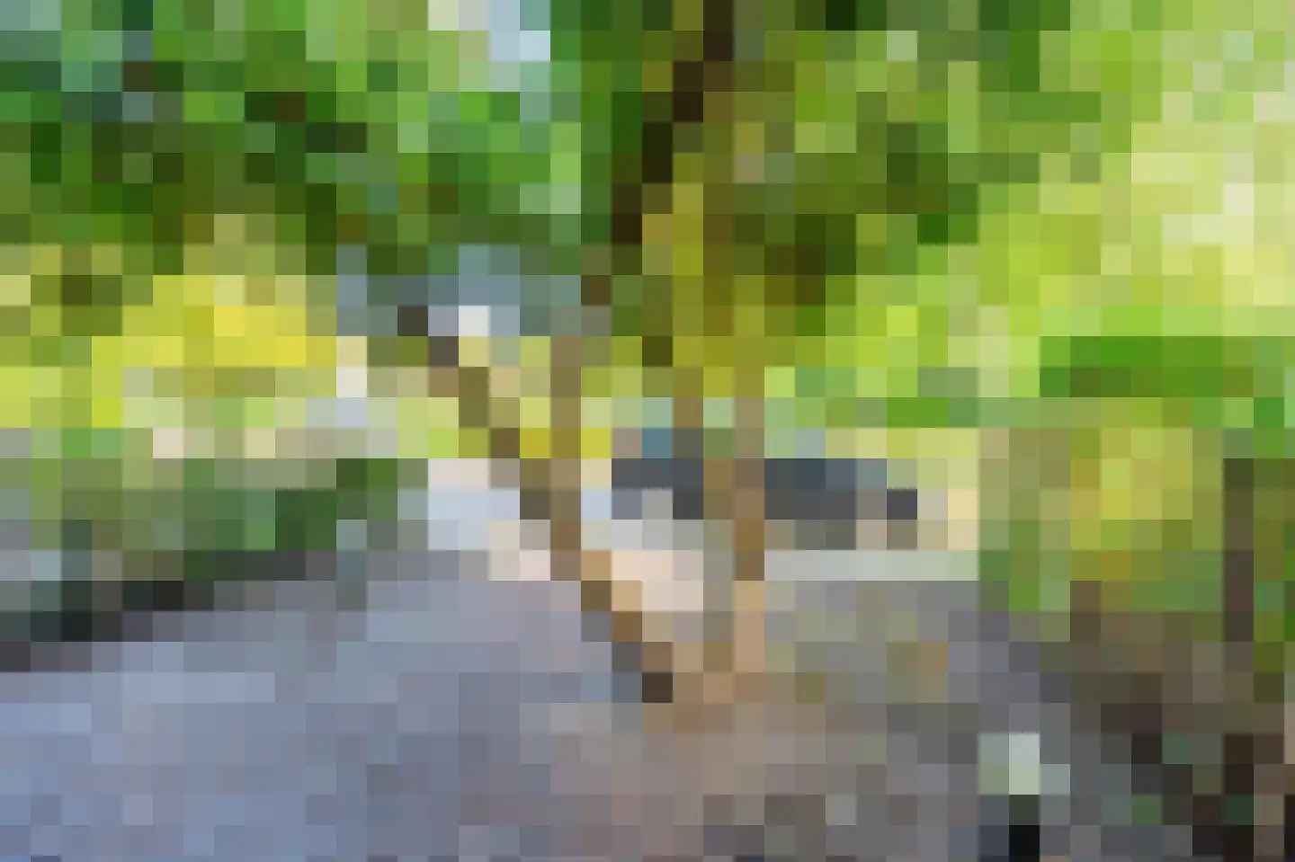 Sint Philipsland 3 Amstelveen thumbnail 31