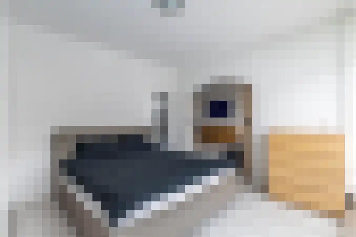Sint Philipsland 43 Amstelveen thumbnail 14
