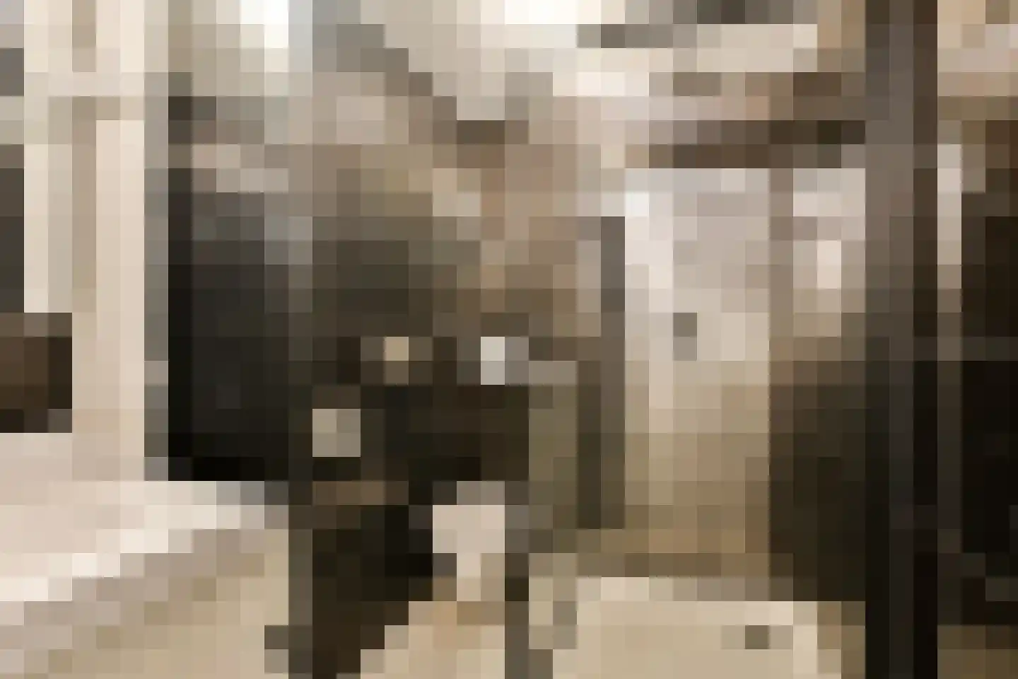 Sint Philipsland 5 Amstelveen thumbnail 11