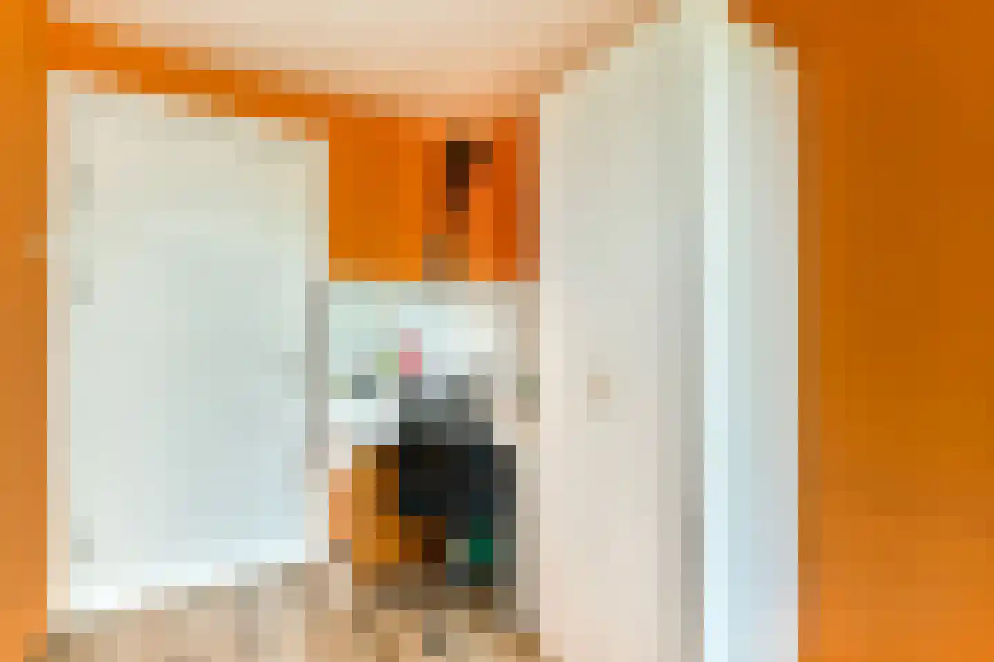 Sint Philipsland 5 Amstelveen thumbnail 23