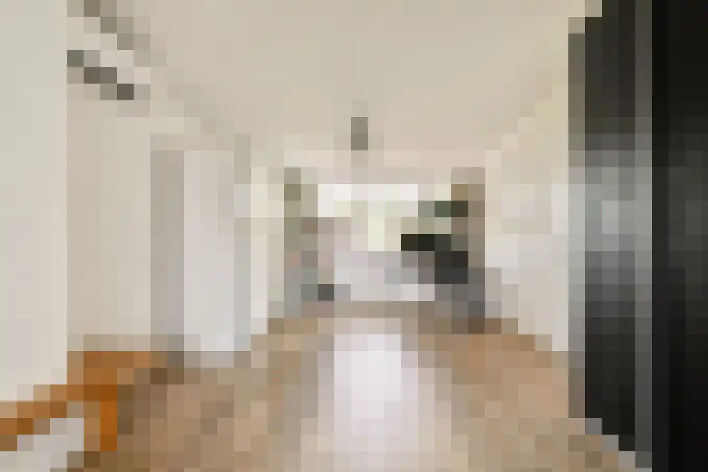 Sint Philipsland 5 Amstelveen thumbnail 35