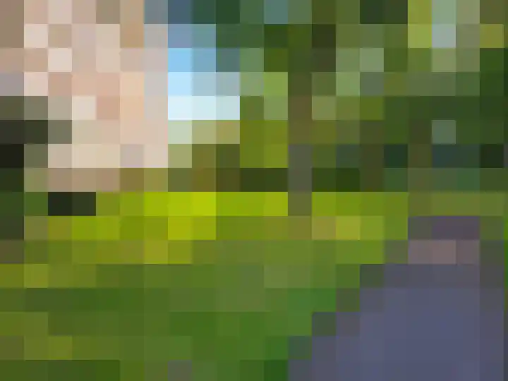 Sint Philipsland 91 Amstelveen thumbnail 15