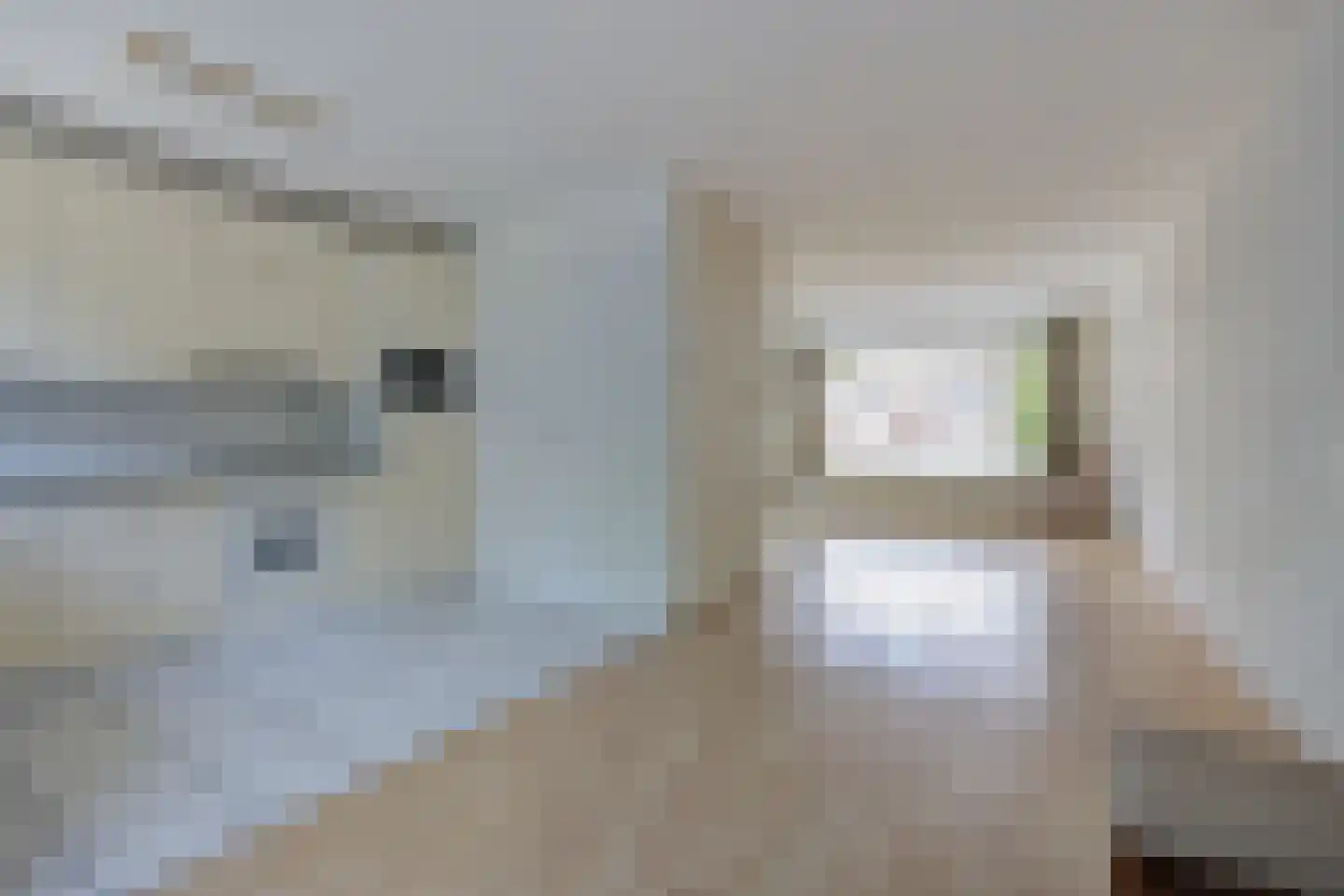 Sint Pieter 36 Oudenbosch thumbnail 19