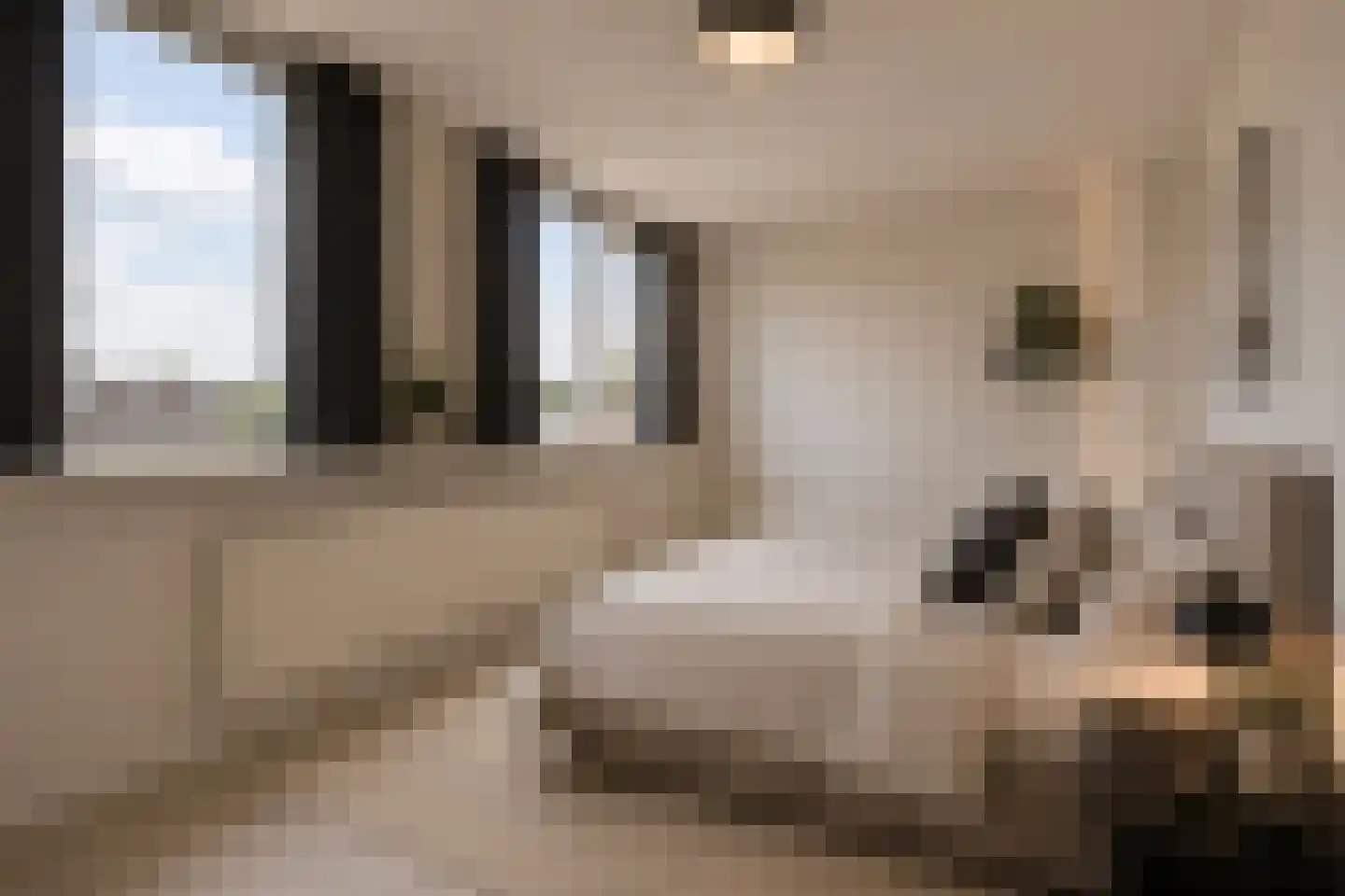 Sint Pieter 36 Oudenbosch thumbnail 24