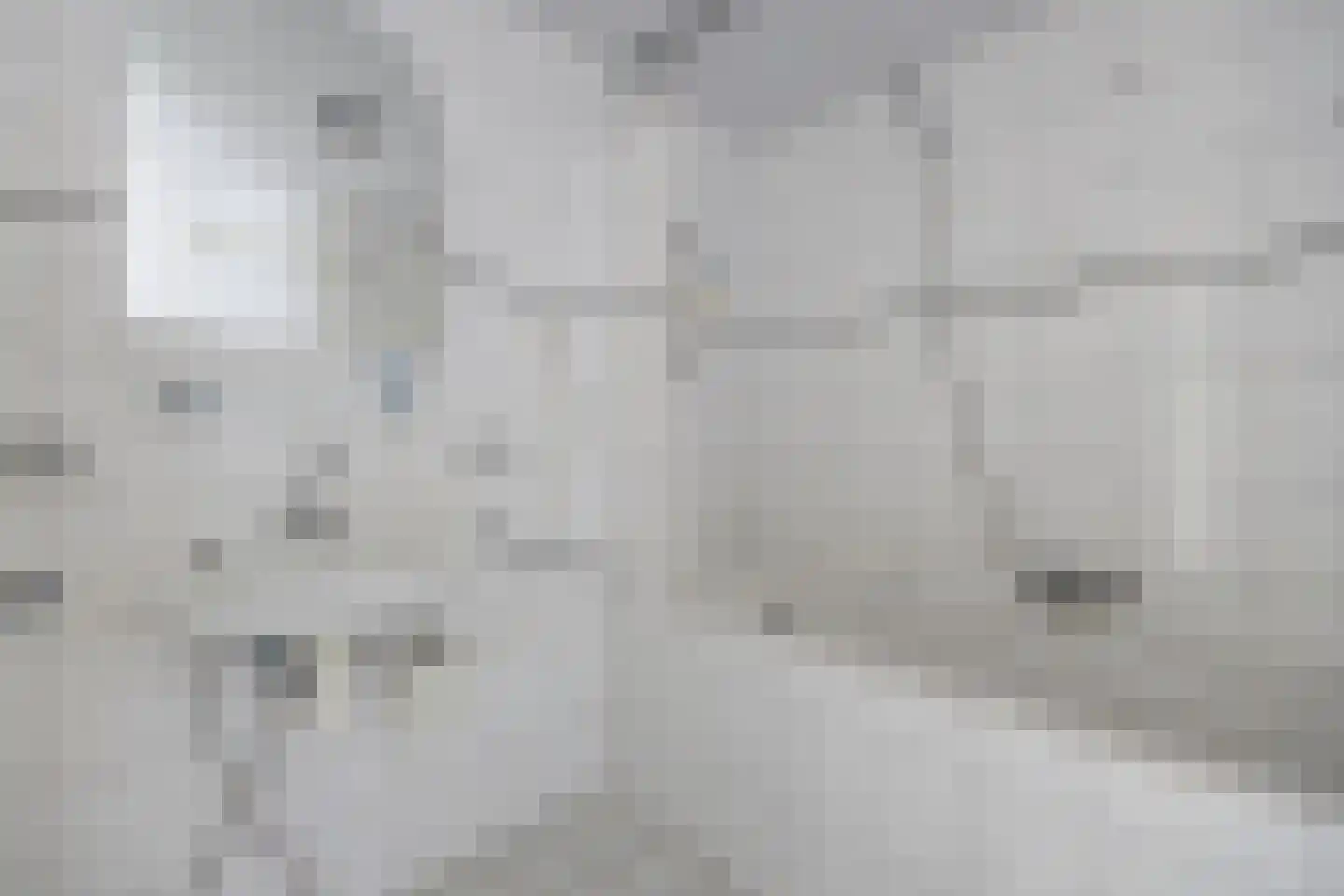 Sint Pieter 36 Oudenbosch thumbnail 33