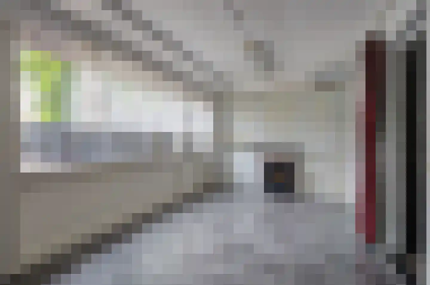 Sint Pieter 36 Oudenbosch thumbnail 9