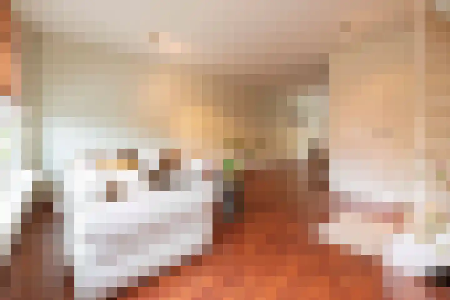 Sint Pieter 8 Oudenbosch thumbnail 10