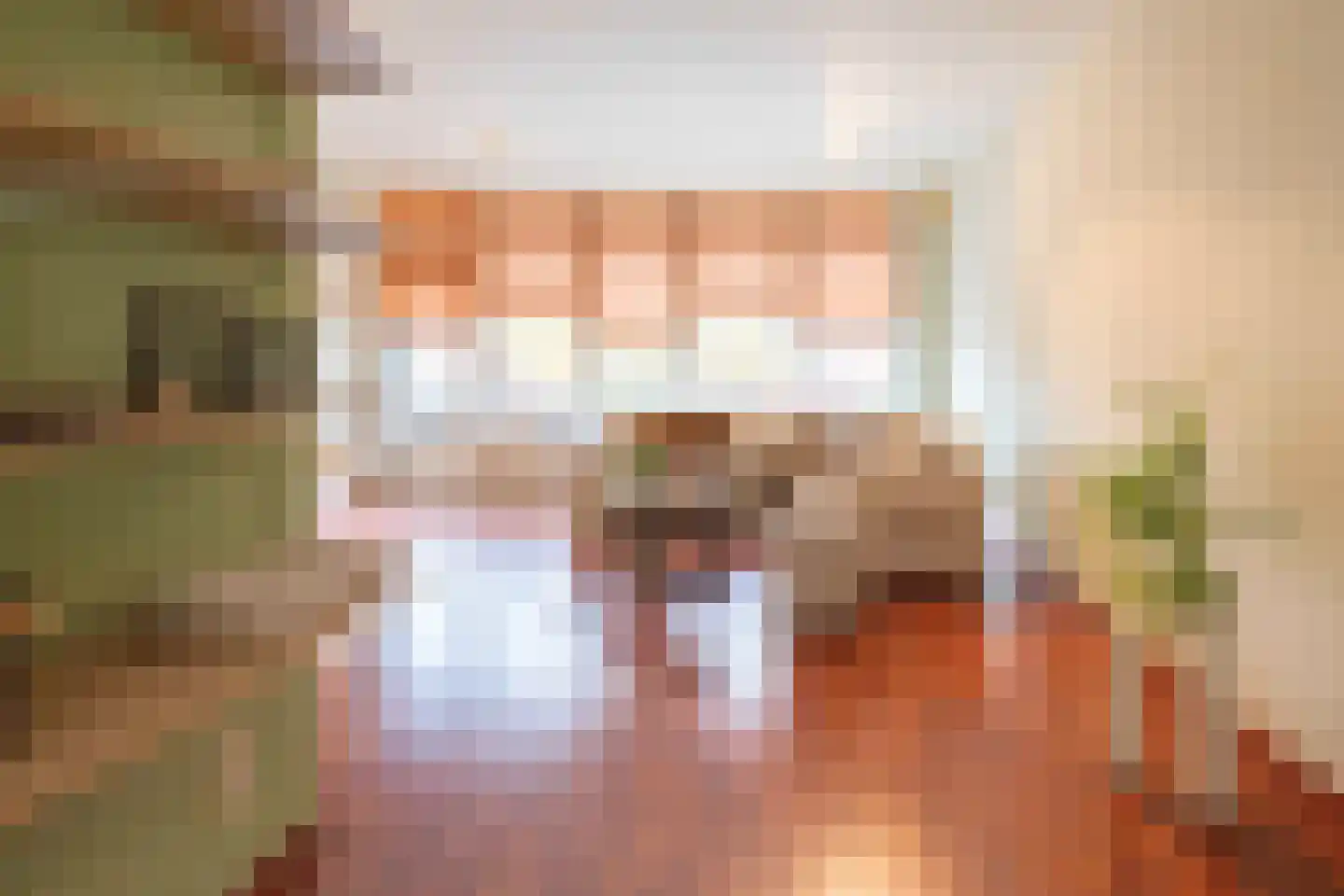 Sint Pieter 8 Oudenbosch thumbnail 11