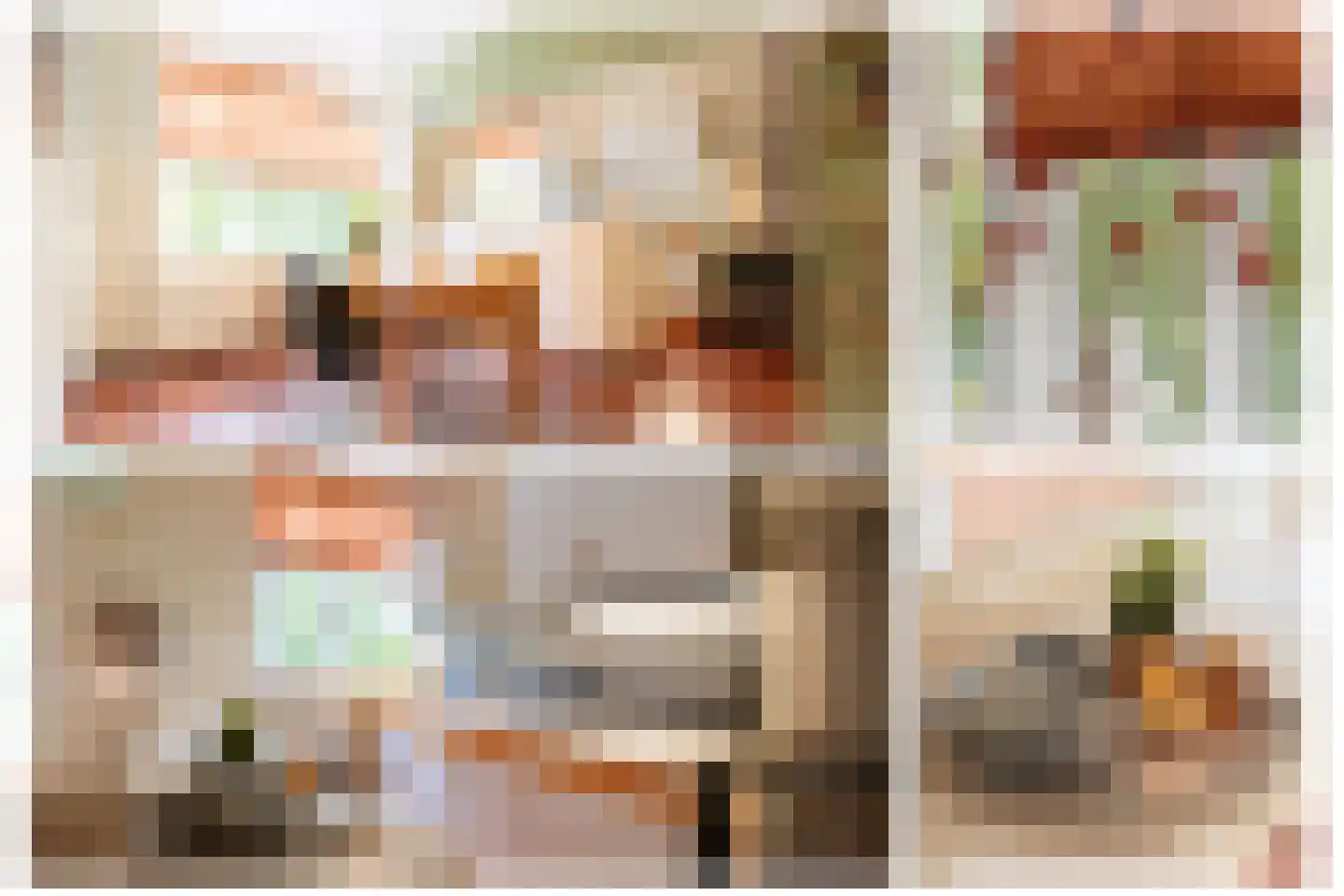Sint Pieter 8 Oudenbosch thumbnail 12