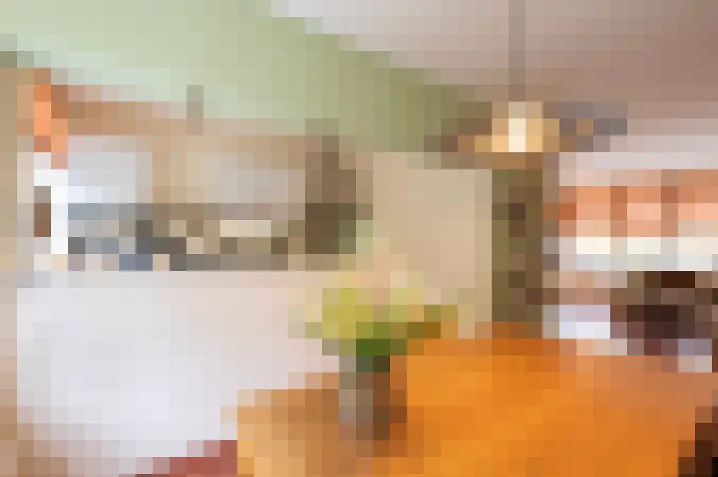 Sint Pieter 8 Oudenbosch thumbnail 14