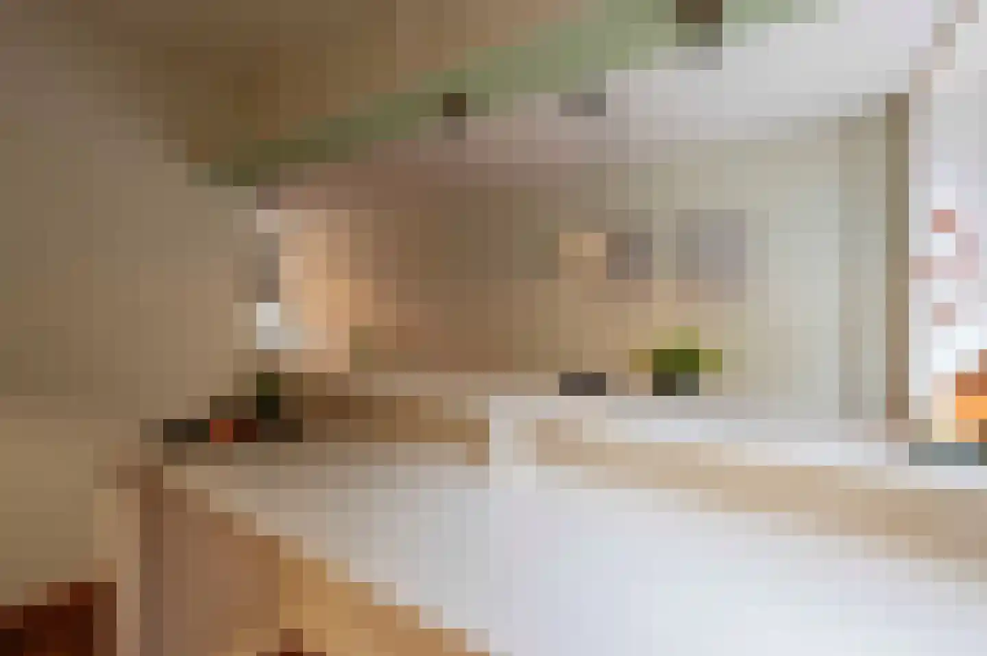 Sint Pieter 8 Oudenbosch thumbnail 17