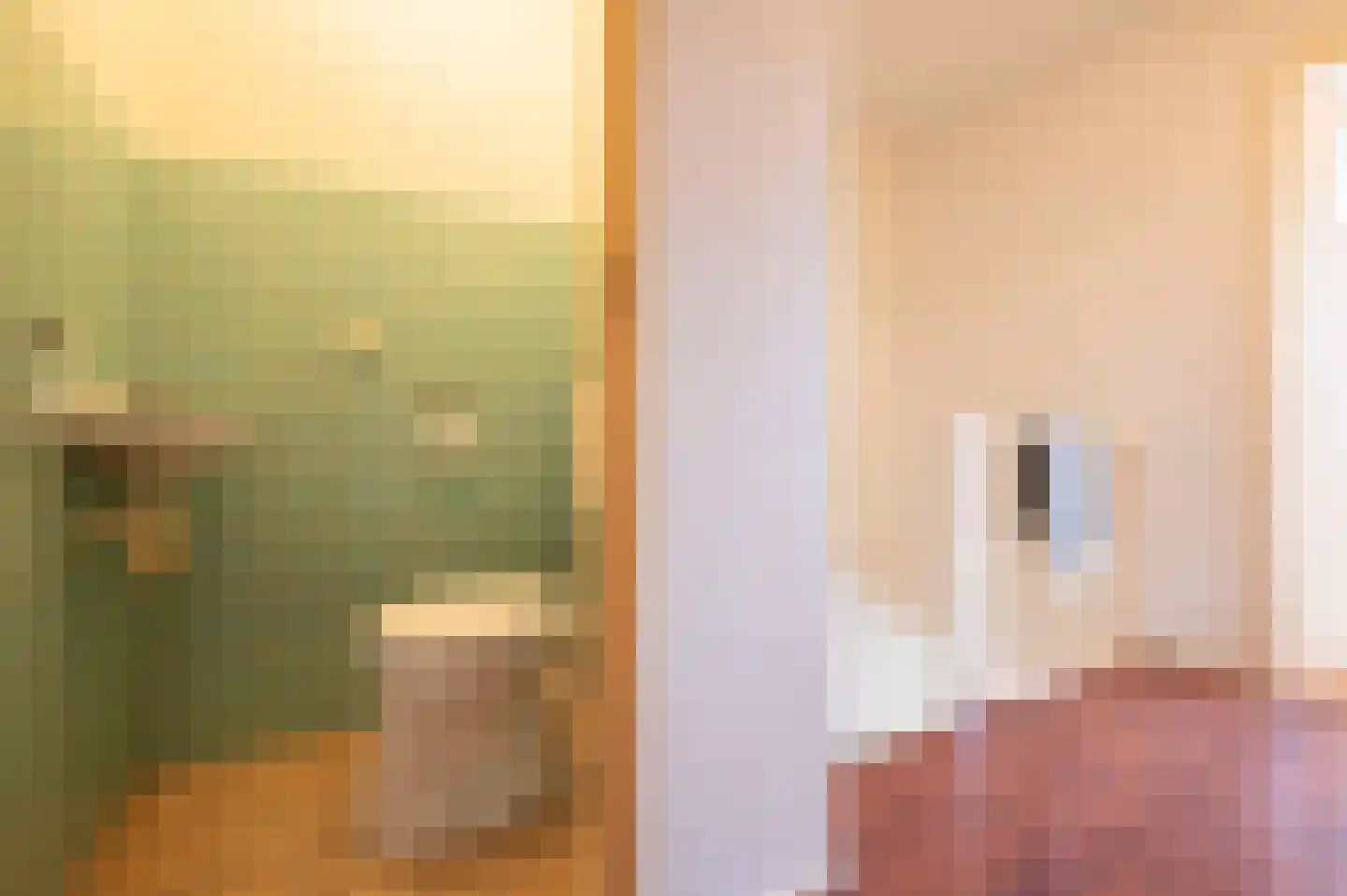Sint Pieter 8 Oudenbosch thumbnail 22