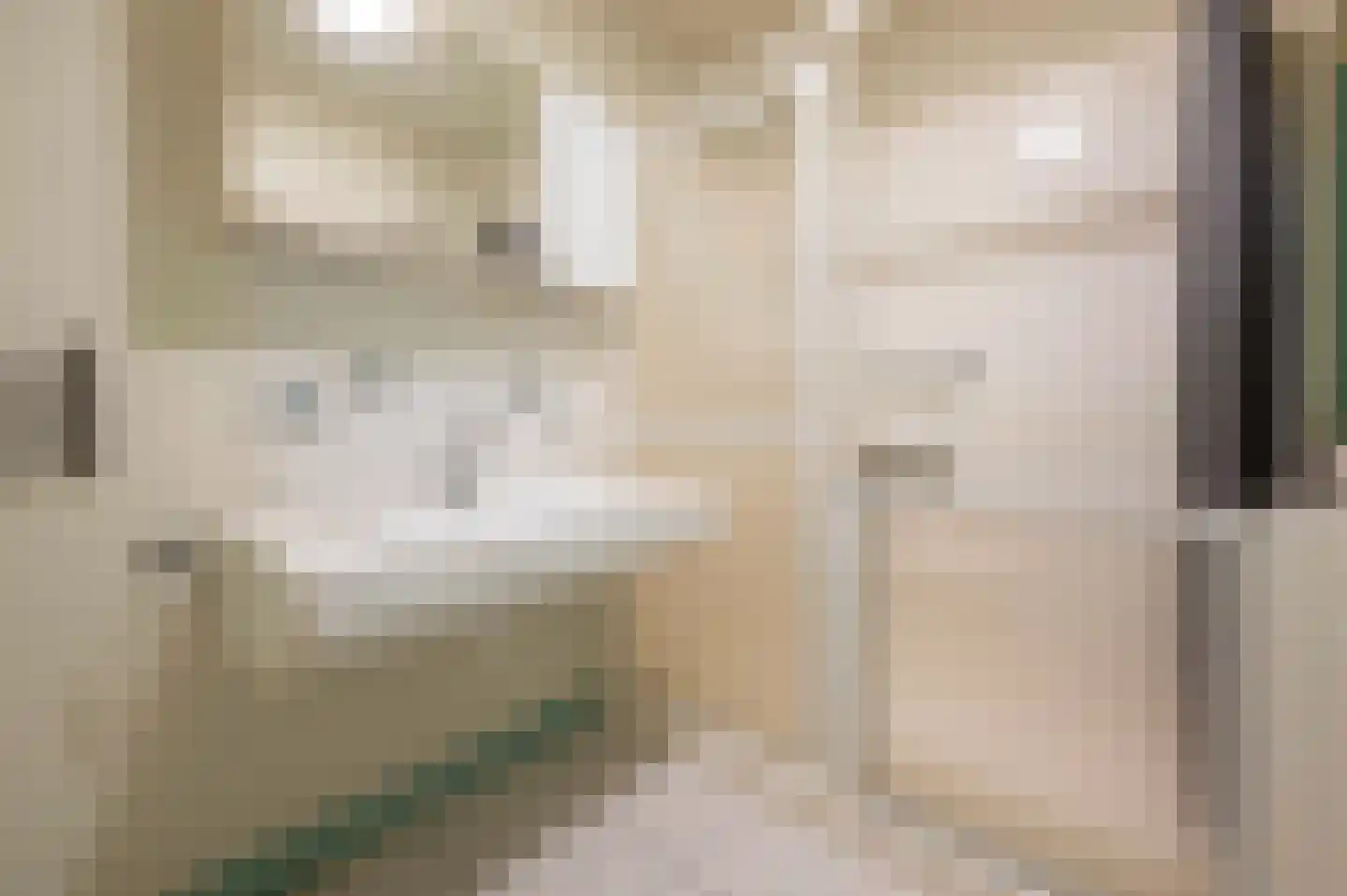 Sint Pieter 8 Oudenbosch thumbnail 24