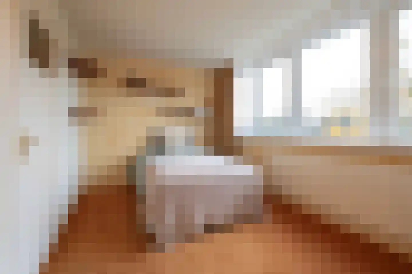 Sint Pieter 8 Oudenbosch thumbnail 25