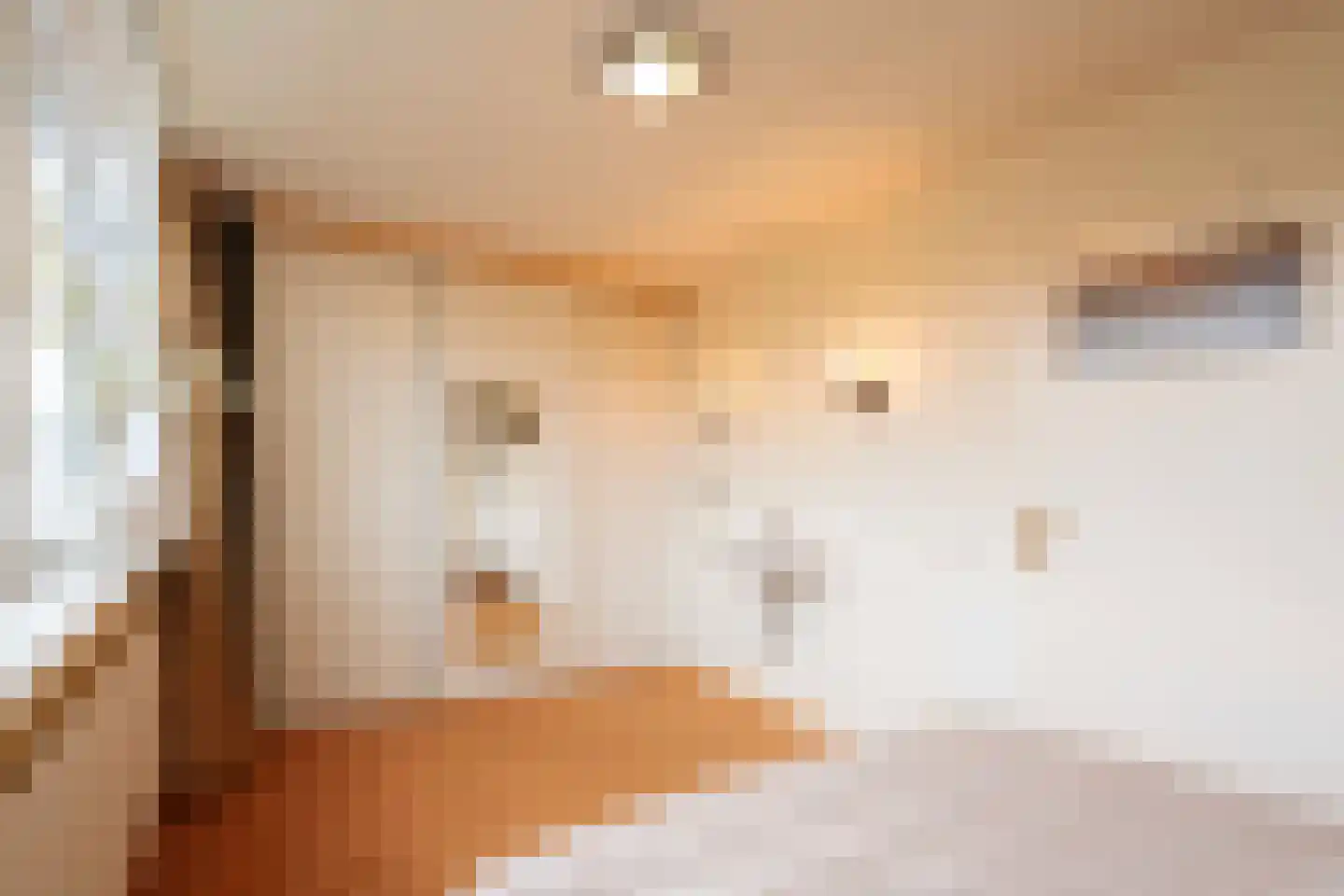 Sint Pieter 8 Oudenbosch thumbnail 27
