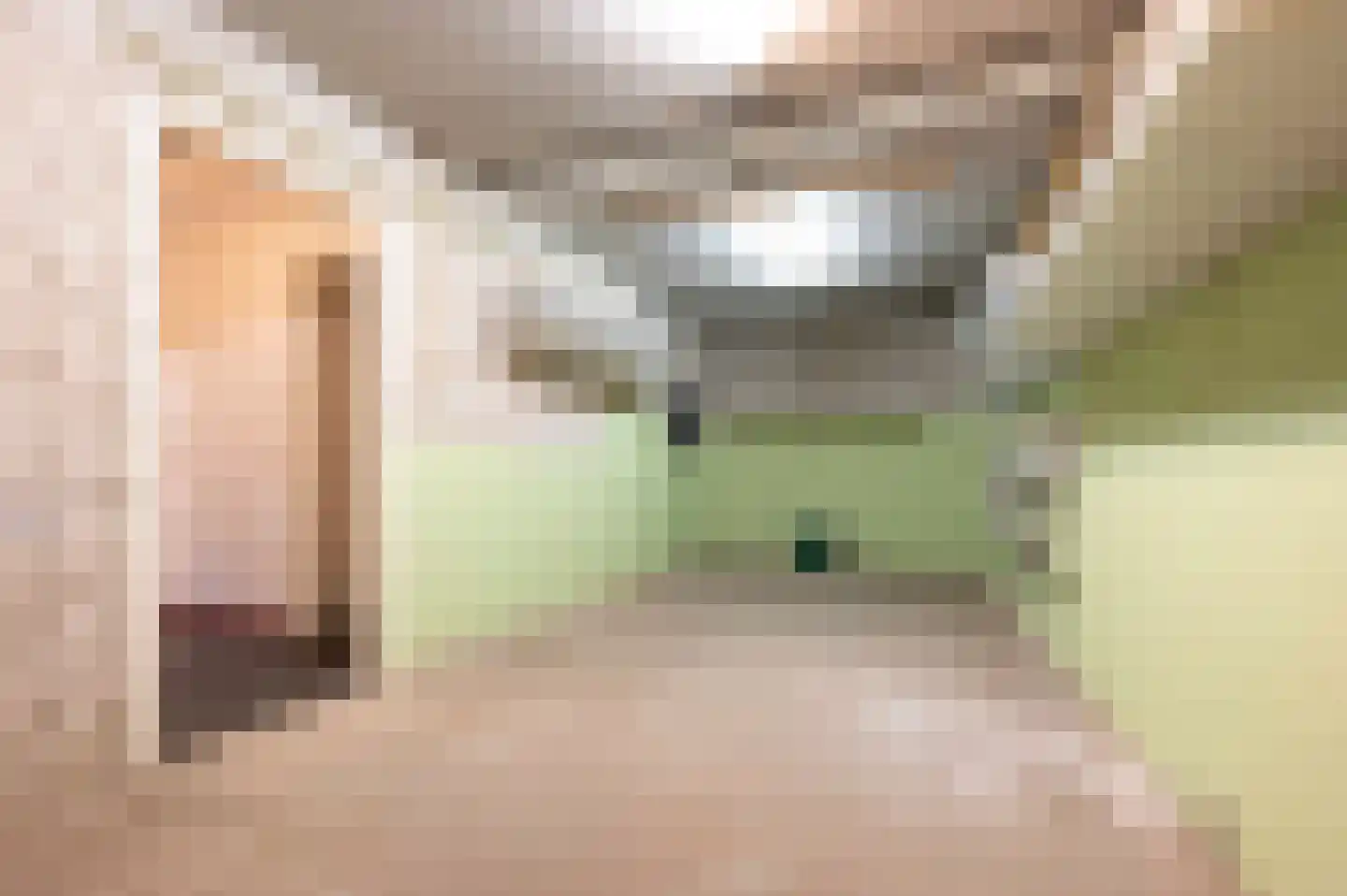 Sint Pieter 8 Oudenbosch thumbnail 28