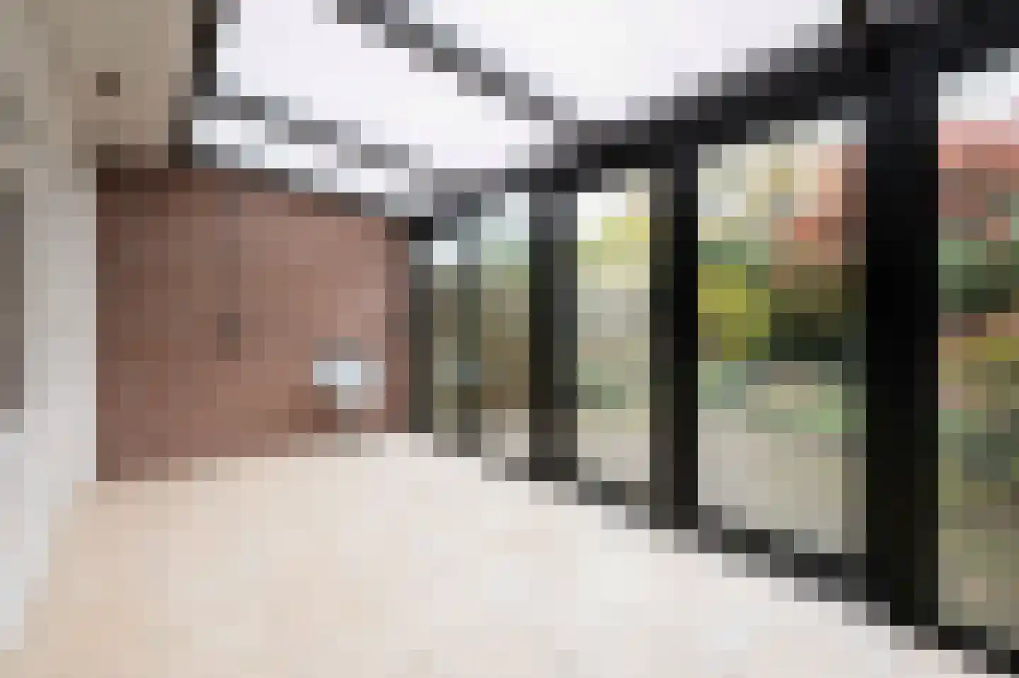 Sint Pieter 8 Oudenbosch thumbnail 32