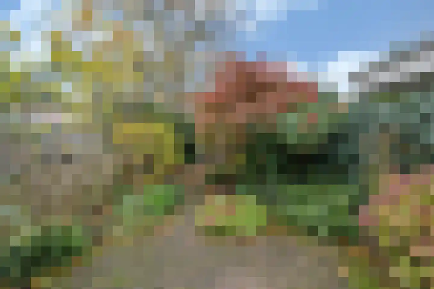 Sint Pieter 8 Oudenbosch thumbnail 34