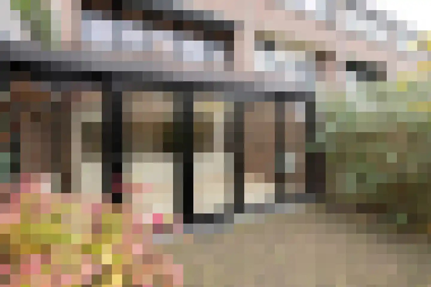 Sint Pieter 8 Oudenbosch thumbnail 35