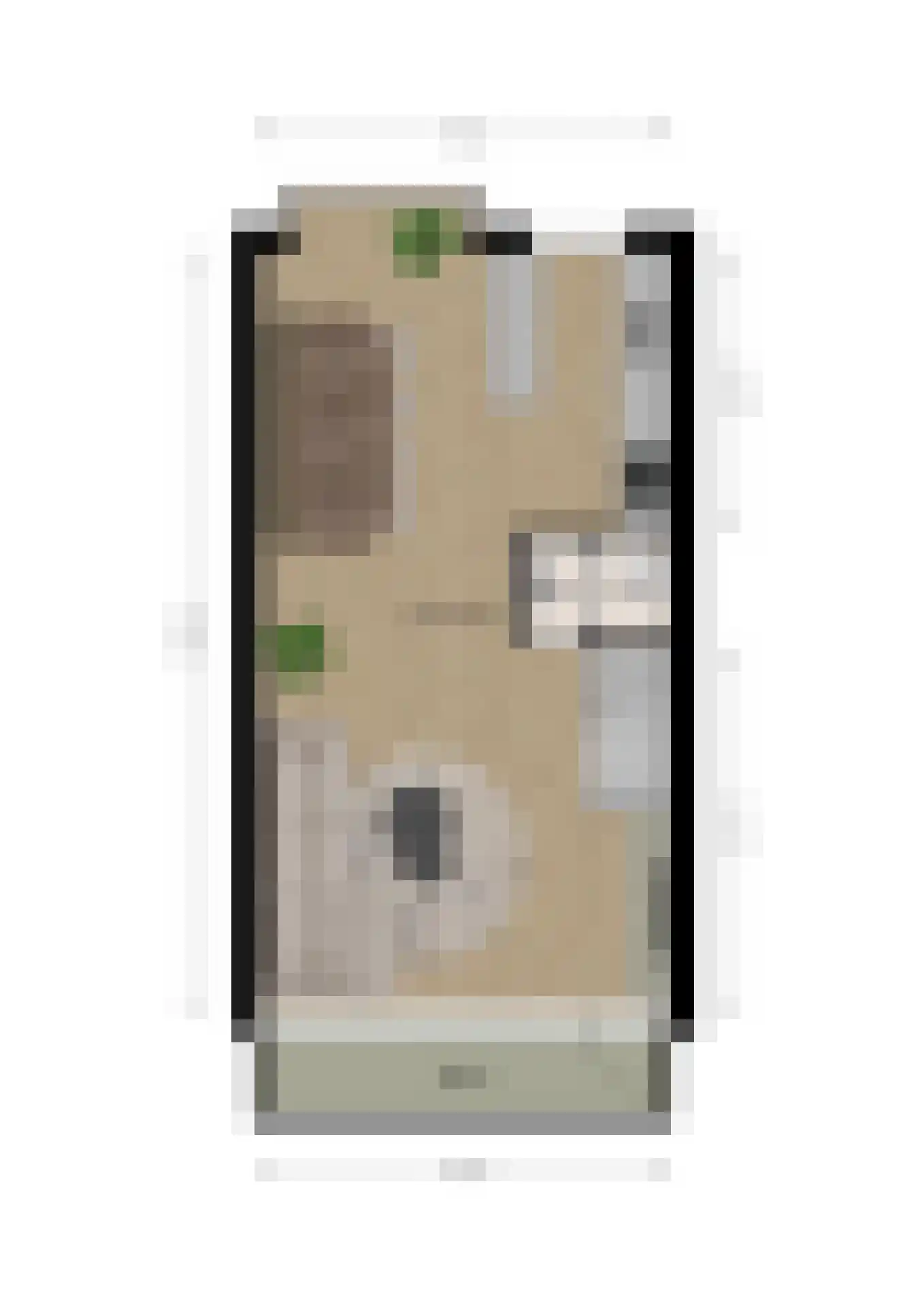 Sint Pieter 8 Oudenbosch thumbnail 37