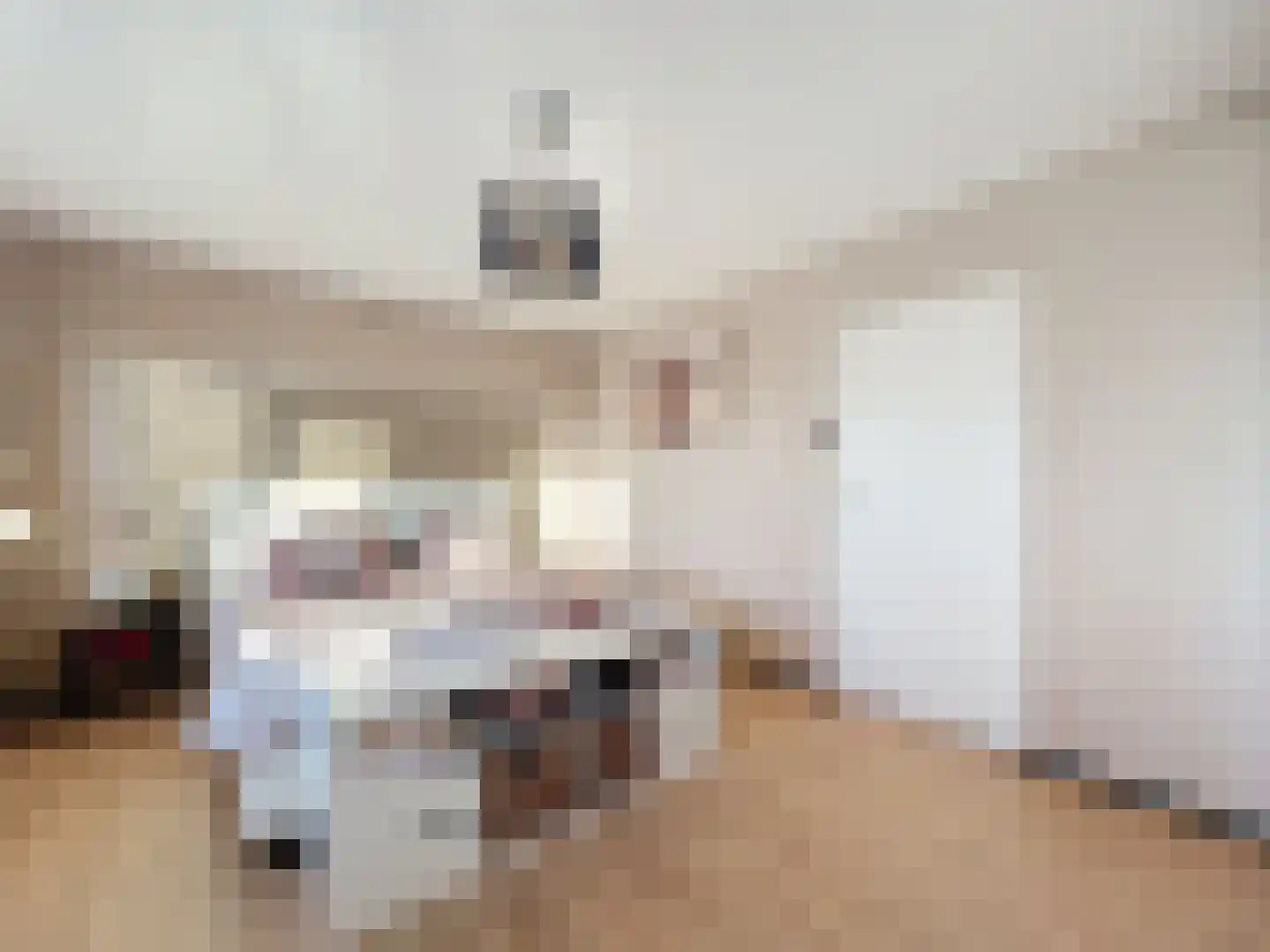 Sint Pietersdijk 1 Biervliet thumbnail 10