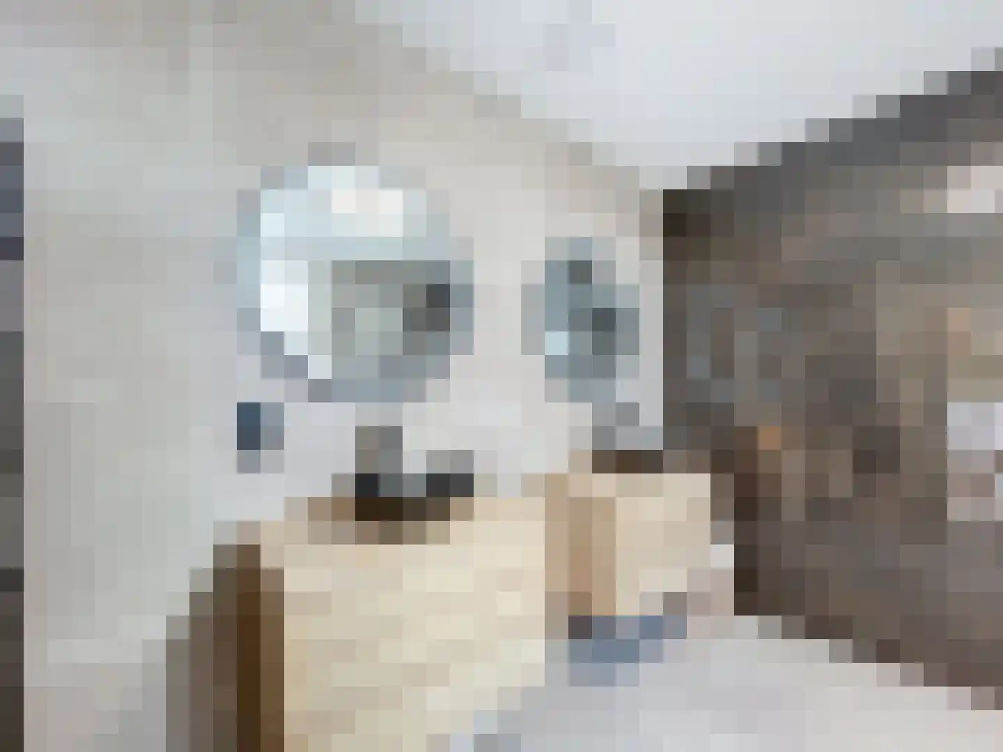 Sint Pietersdijk 1 Biervliet thumbnail 11