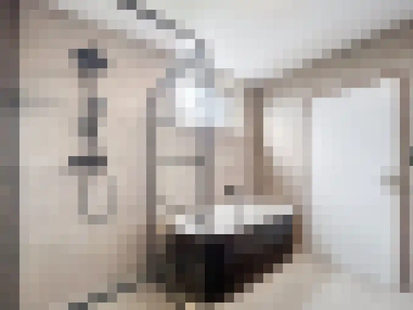Sint Pietersdijk 1 Biervliet thumbnail 13