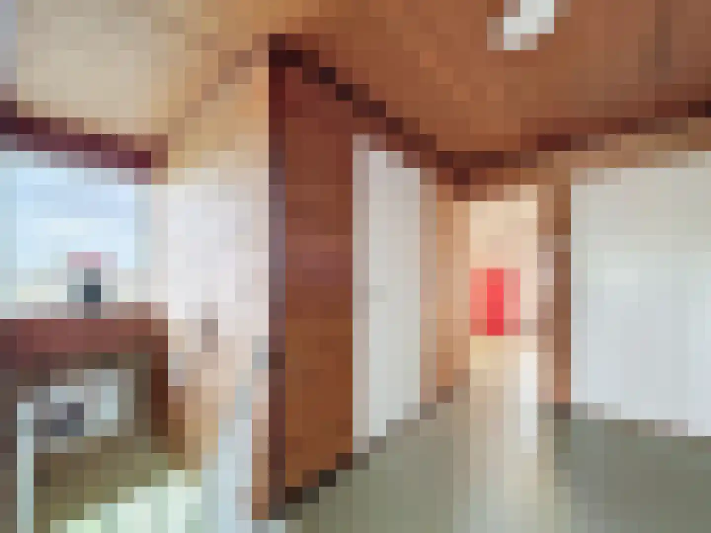 Sint Pietersdijk 1 Biervliet thumbnail 16