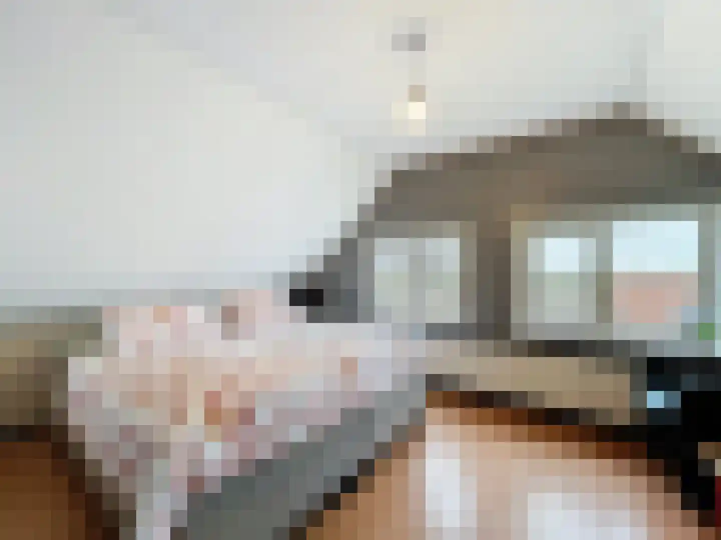 Sint Pietersdijk 1 Biervliet thumbnail 19