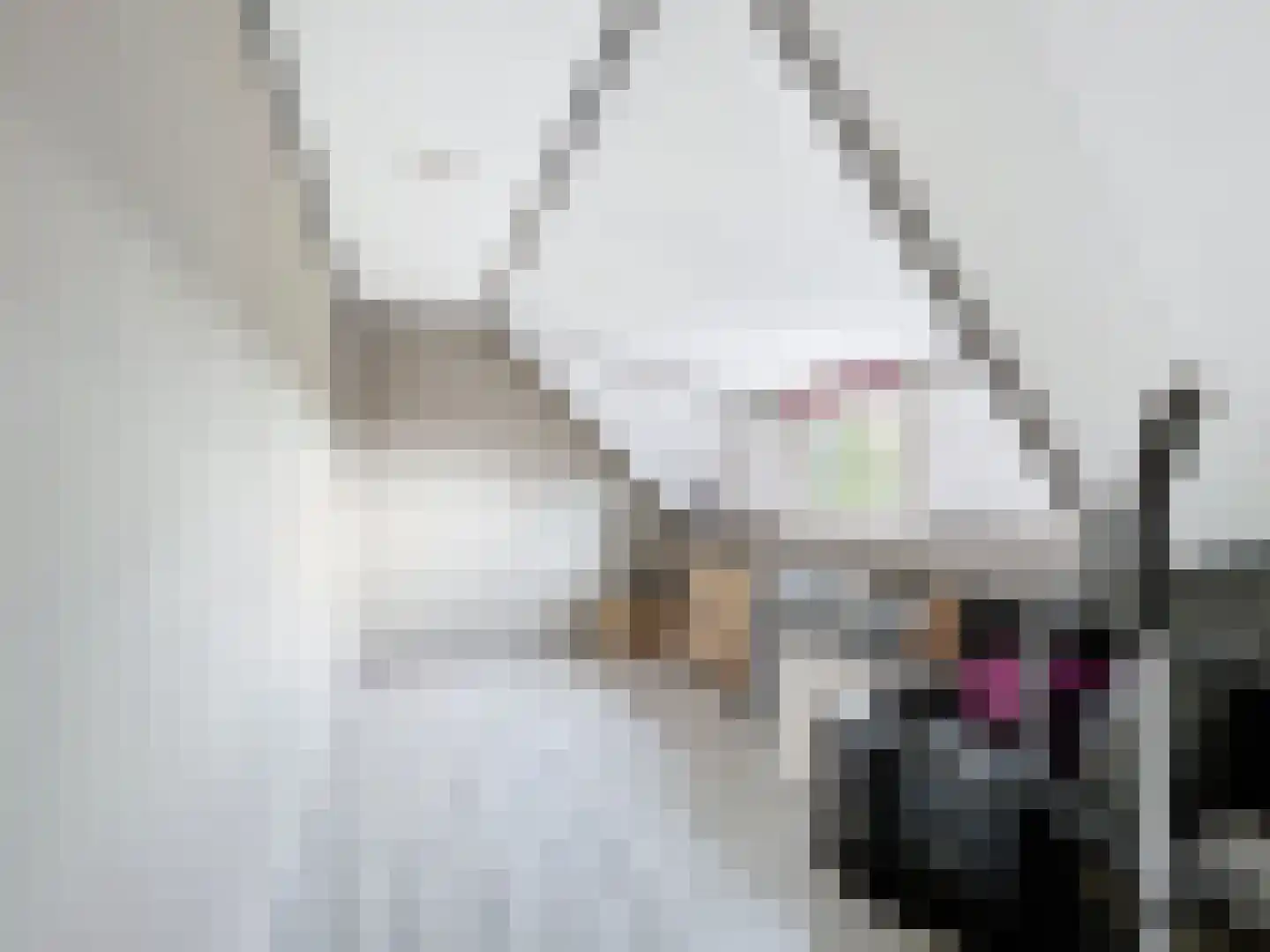 Sint Pietersdijk 1 Biervliet thumbnail 22