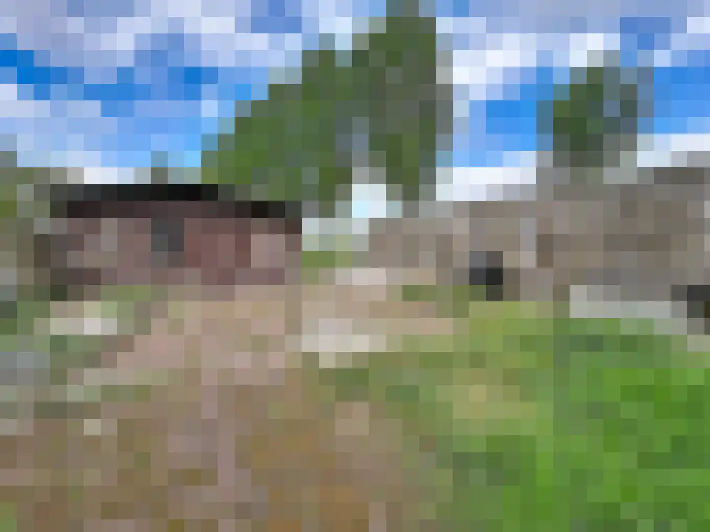 Sint Pietersdijk 1 Biervliet thumbnail 28