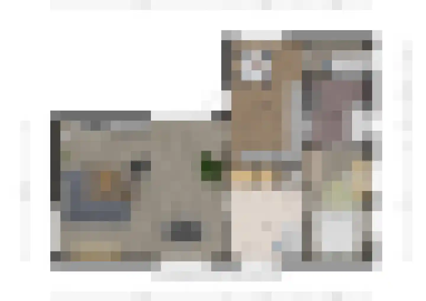Sint Pietersdijk 1 Biervliet thumbnail 32