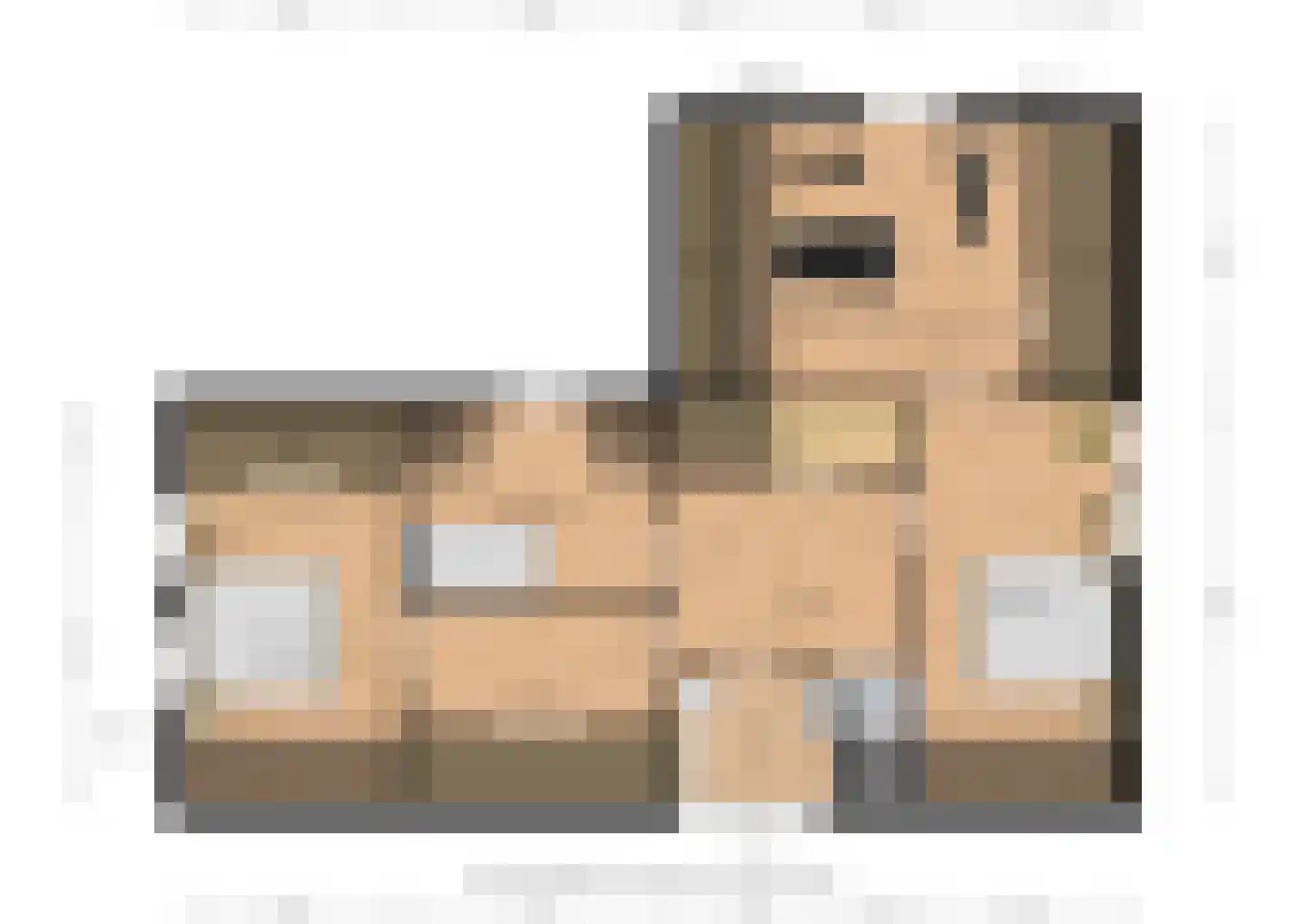 Sint Pietersdijk 1 Biervliet thumbnail 33