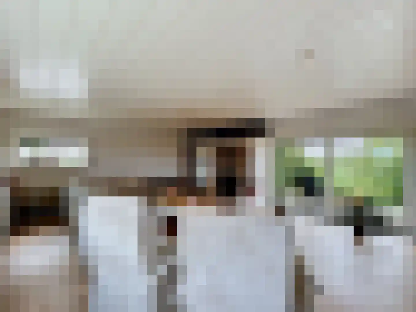 Sint Pietersdijk 1 Biervliet thumbnail 4