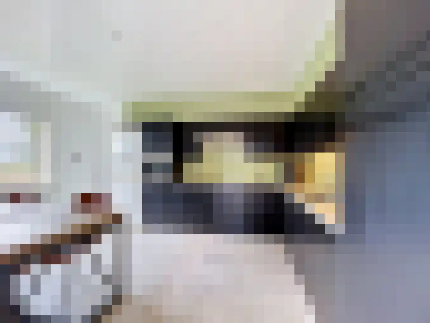 Sint Pietersdijk 1 Biervliet thumbnail 6
