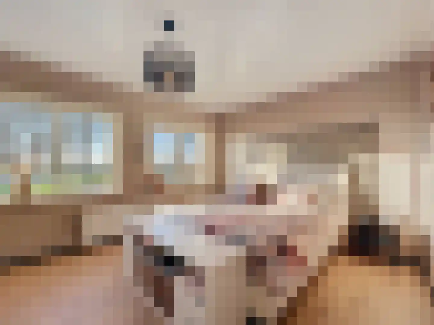 Sint Pietersdijk 1 Biervliet thumbnail 8