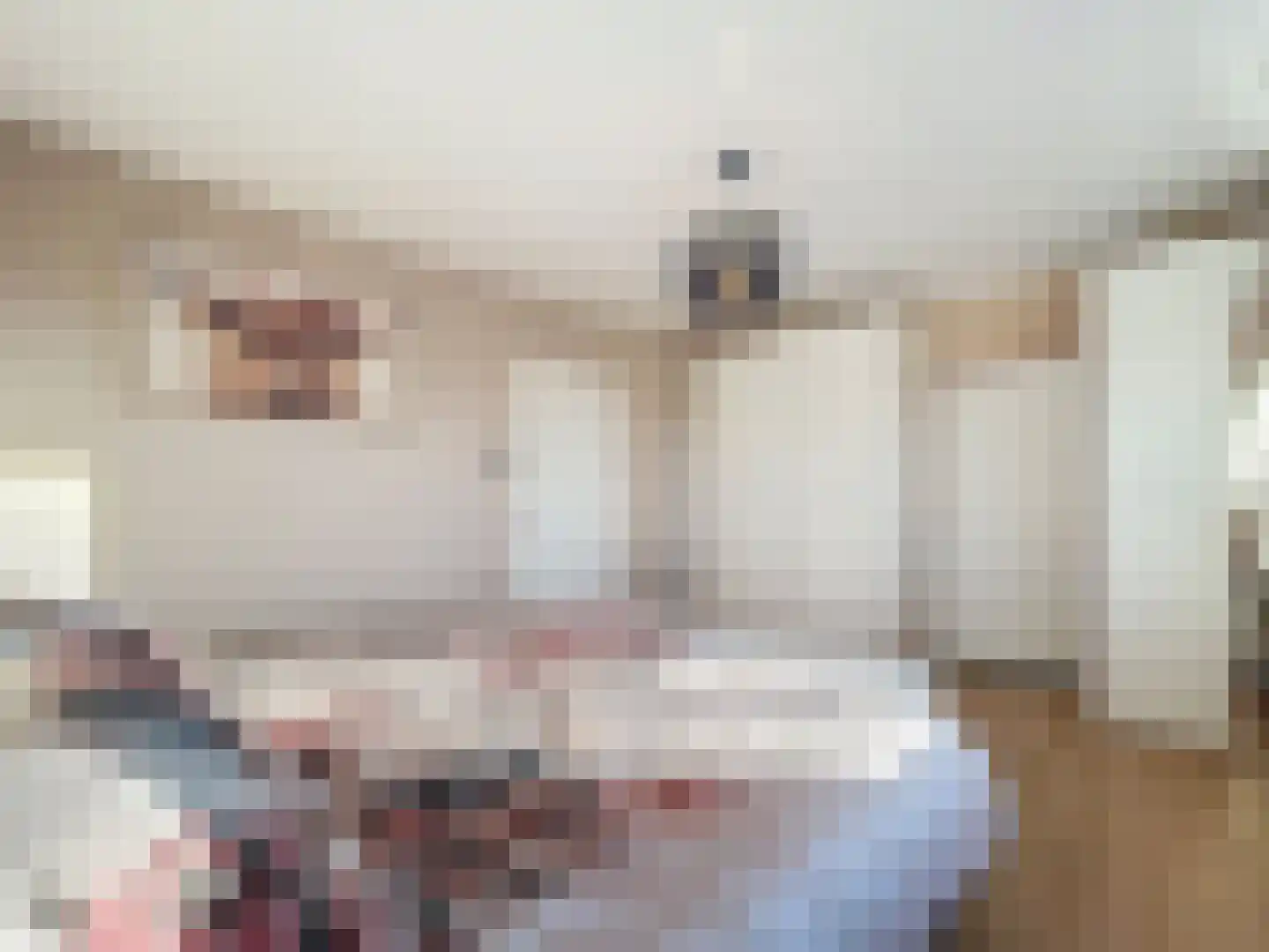 Sint Pietersdijk 1 Biervliet thumbnail 9