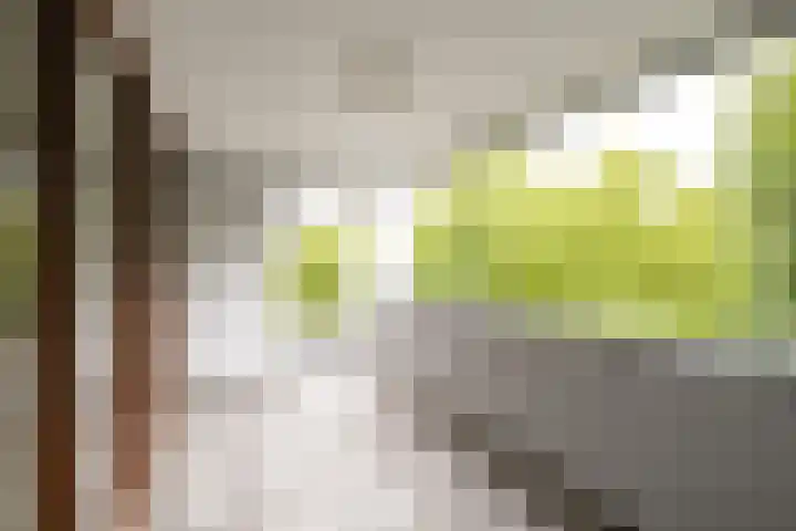 Sint Pietershof 17 Heerlen thumbnail 12