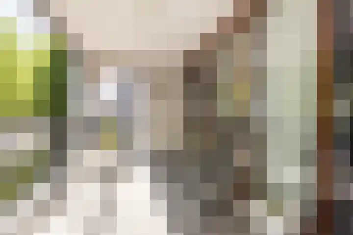 Sint Pietershof 28 Heerlen thumbnail 16