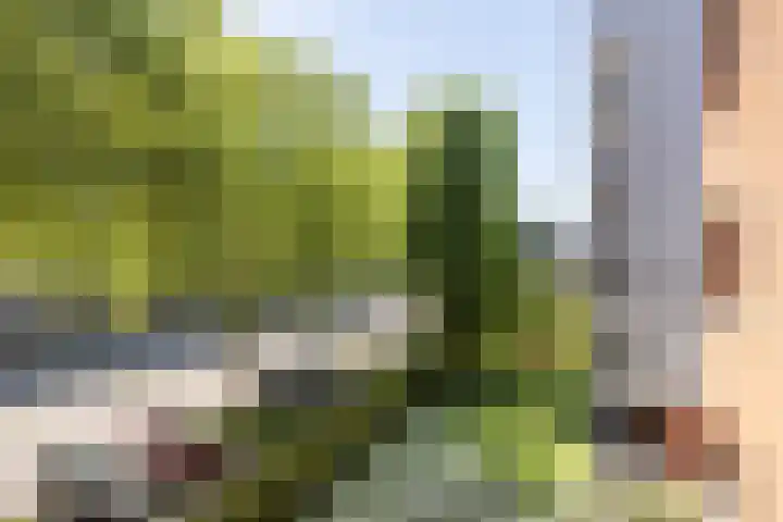 Sint Pietershof 28 Heerlen thumbnail 18