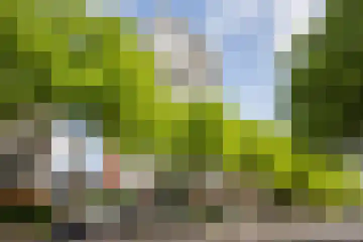 Sint Pietershof 47 Heerlen thumbnail 24