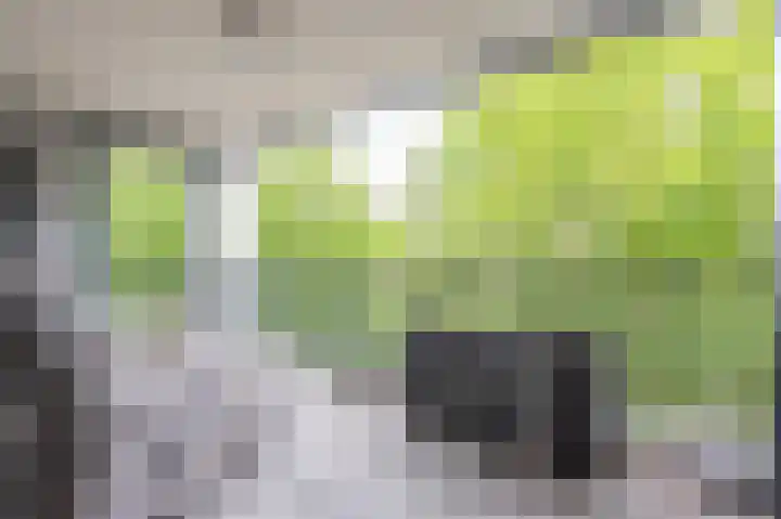 Sint Pietershof 47 Heerlen thumbnail 6