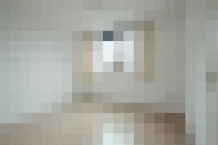 Sint Pietershof 9 Heerlen thumbnail 10