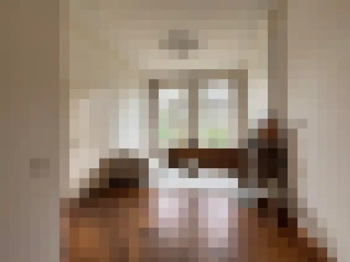 Sint Pieterskade 1 Maastricht thumbnail 4