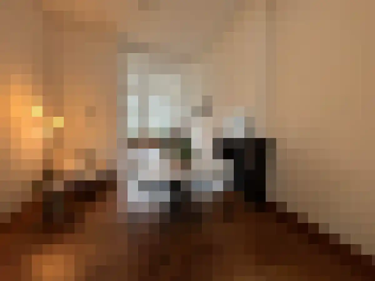 Sint Pieterskade 1 Maastricht thumbnail 6