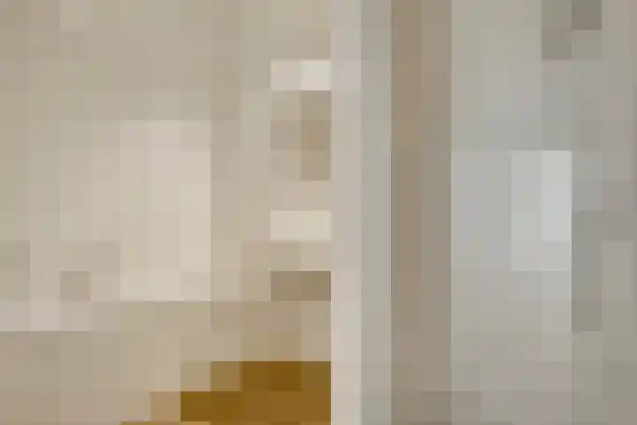 Sint Pieterskade 8 B 03 Maastricht thumbnail 21