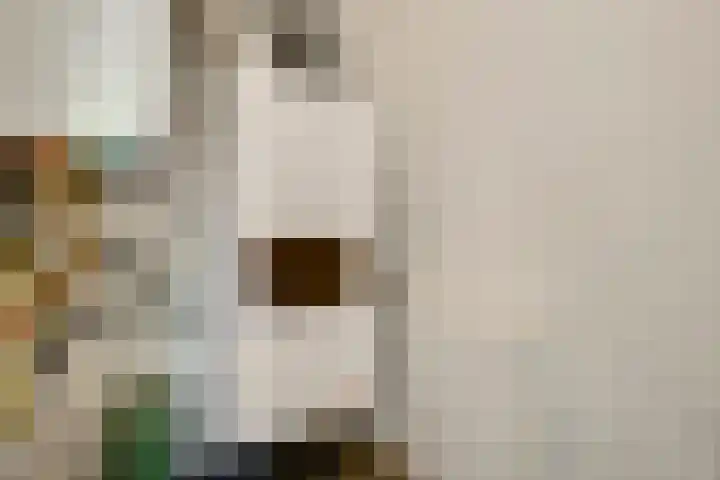Sint Pieterskade 8 B 03 Maastricht thumbnail 22