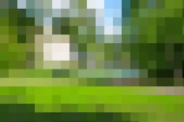 Sint Pieterskade 8 B 03 Maastricht thumbnail 27