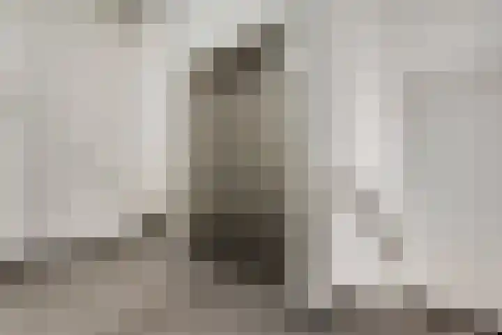 Sint Pieterskade 8 B 03 Maastricht thumbnail 6