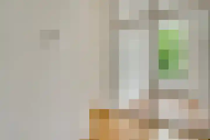 Sint Pieterskade 8 B 03 Maastricht thumbnail 8